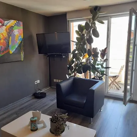 Like Home, In Geneva's Neighborhood Apartment